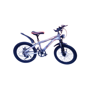 VTT à vitesse variable n°20